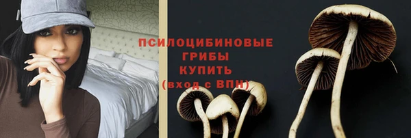 эйфоретик Нея