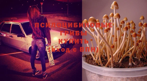 винт Алзамай